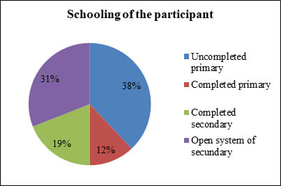 Figure 2. Graph of schooling of the participants. Own elaboration.