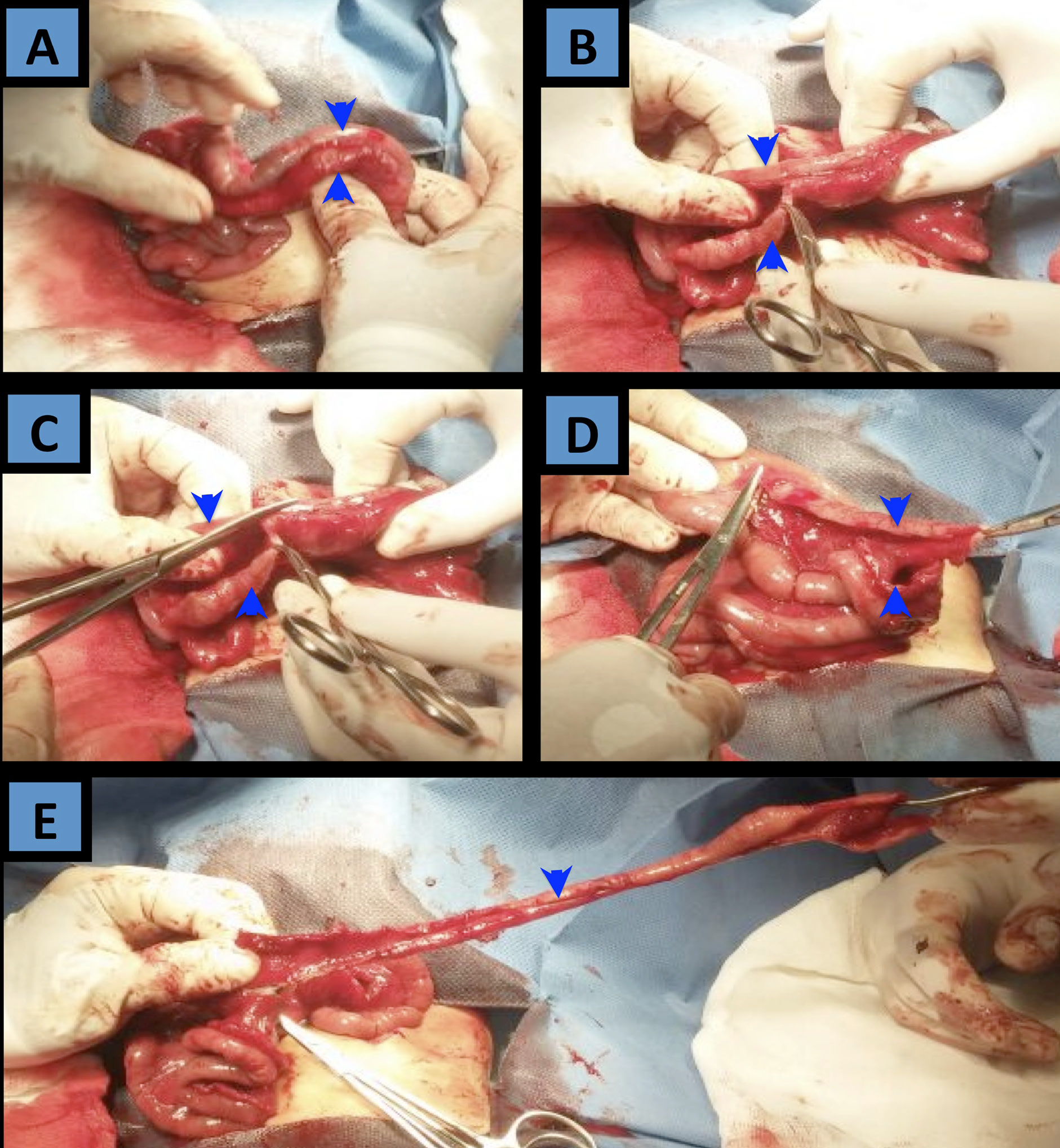 Una foto de comida

El contenido generado por IA puede ser incorrecto.