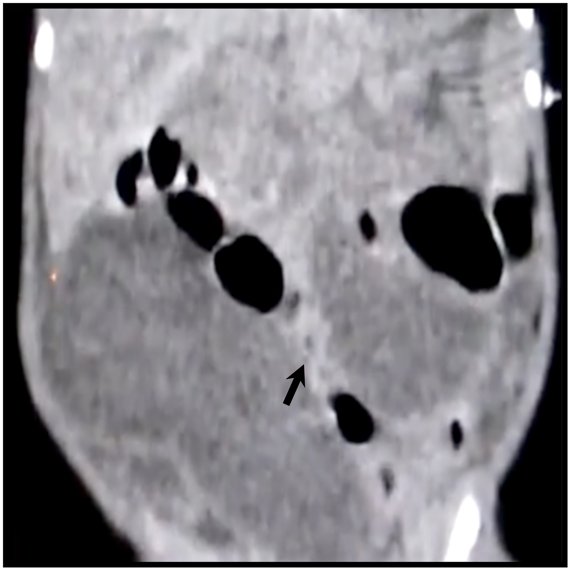 Imagen en blanco y negro

El contenido generado por IA puede ser incorrecto.