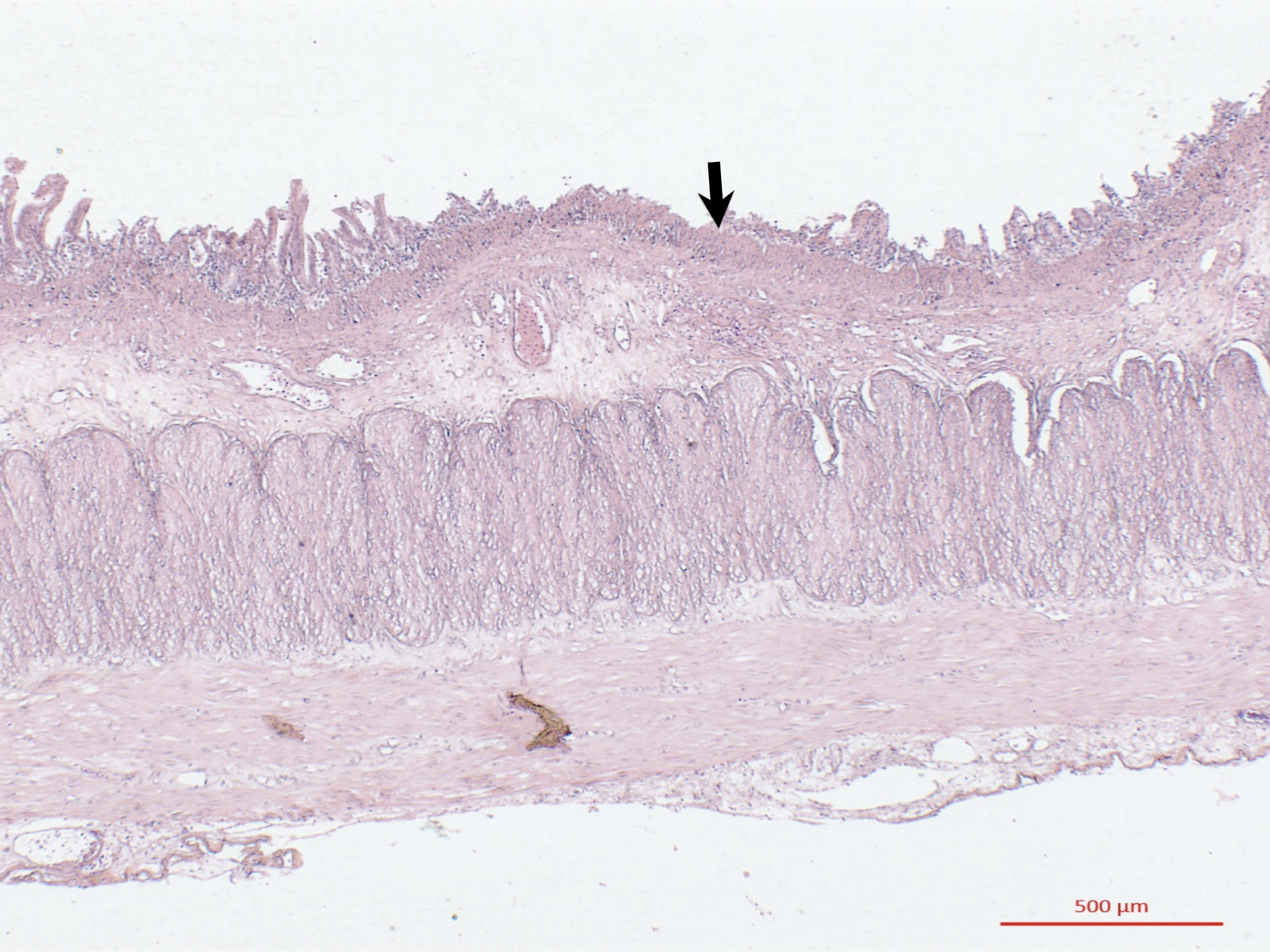Un dibujo de una persona