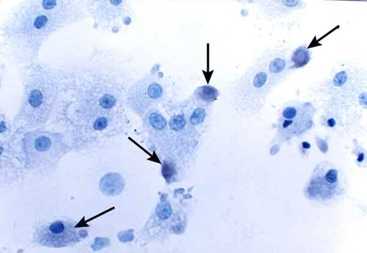fig4