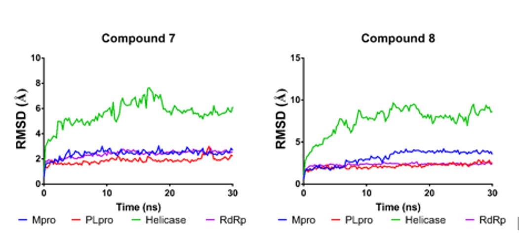RMSD variations along simulation