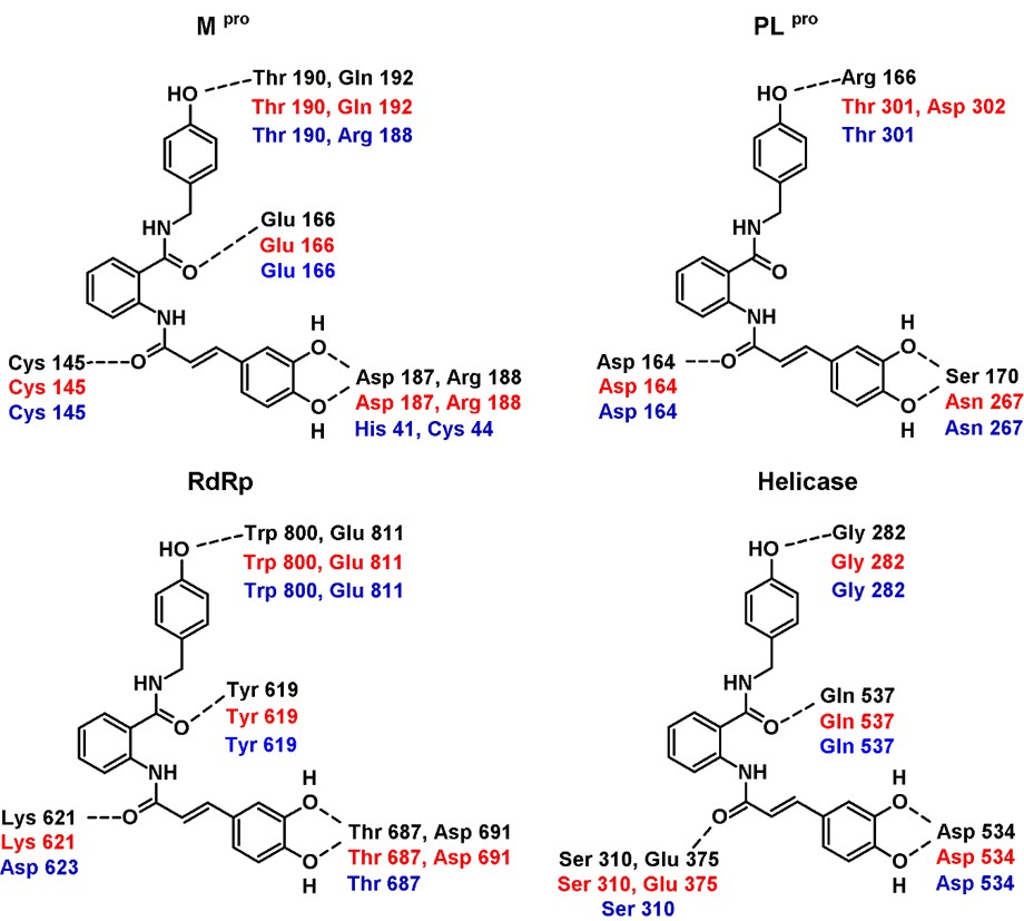 Hydrogen bonding interaction patterns for compound 7 in complex with the four targets analyzed in this study