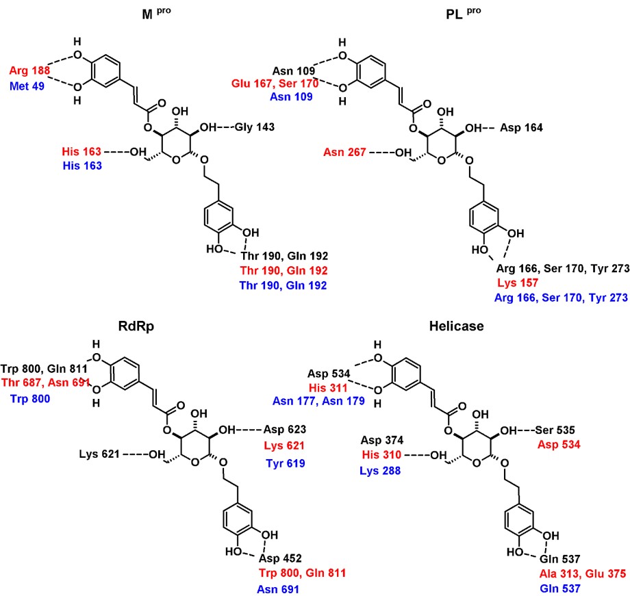Hydrogen bonding interaction patterns for compound 8 in complex with the four targets analyzed in this study.