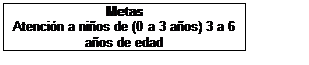 Cuadro de texto: Metas
Atención a niños de (0 a 3 años) 3 a 6 años de edad
