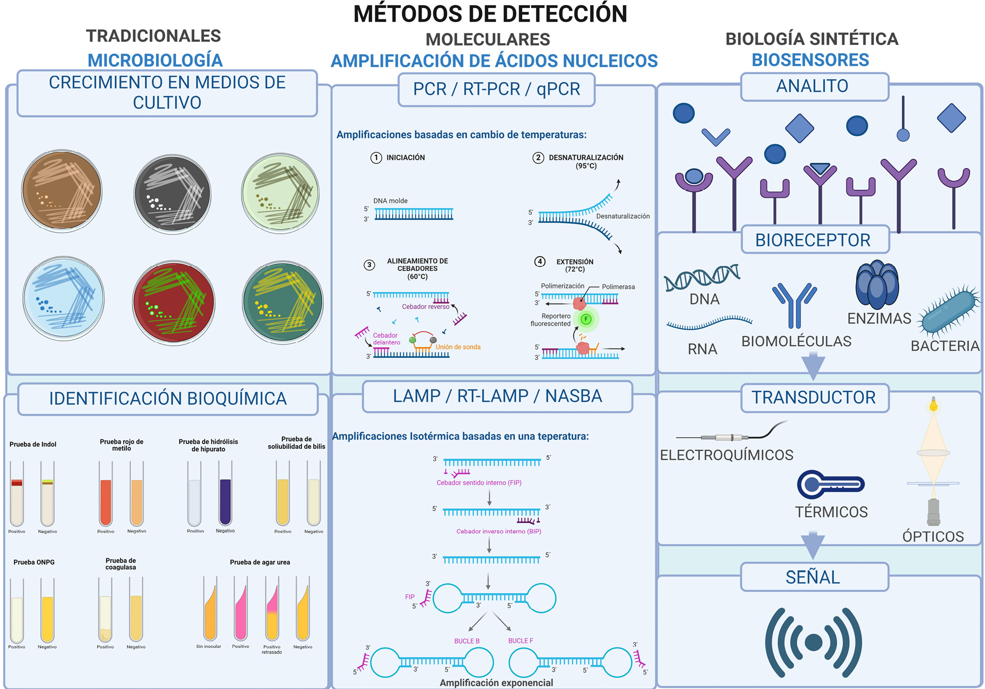 Diagrama

Descripción generada automáticamente con confianza media