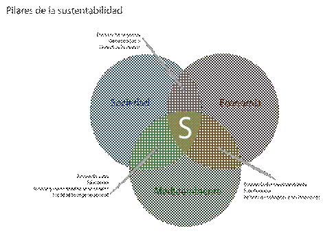 Sustentabilidad.pdf