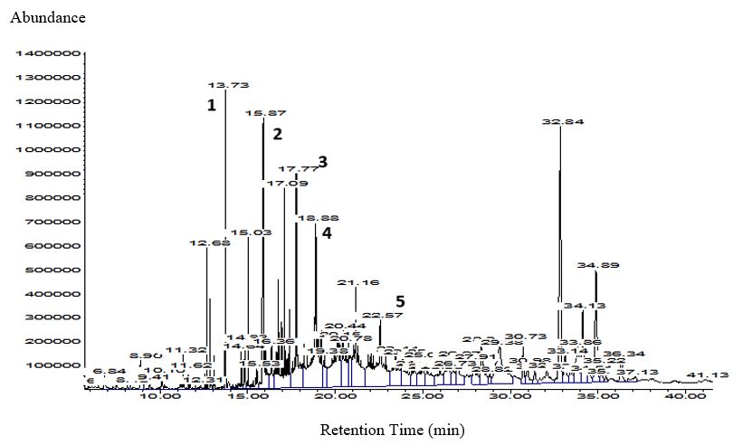 Figure 1. GC-MS chromatogram of ethyl acetate extract.