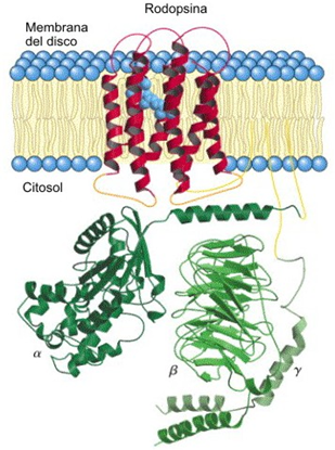 fig3