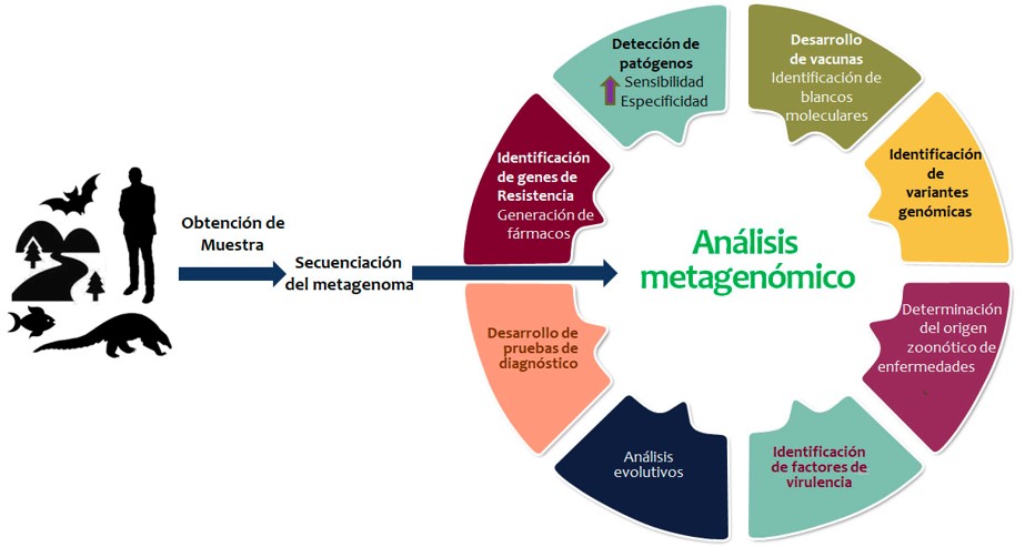 Aplicaciones potenciales del análisis metagenómico a partir de distintos tipos de muestras 