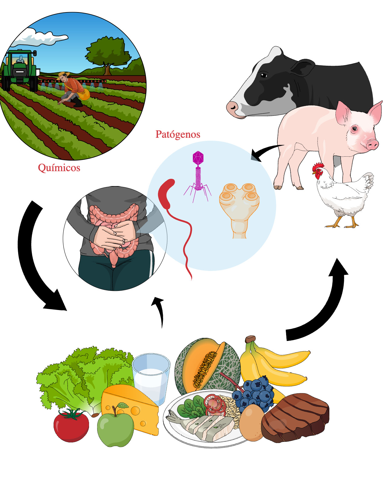 Diagrama

Descripción generada automáticamente